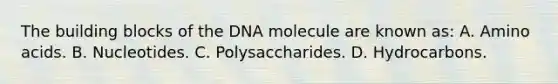 The building blocks of the DNA molecule are known​ as: A. Amino acids. B. Nucleotides. C. Polysaccharides. D. Hydrocarbons.