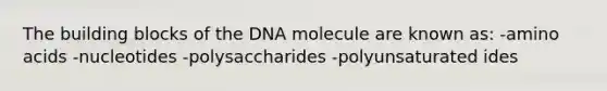 The building blocks of the DNA molecule are known as: -amino acids -nucleotides -polysaccharides -polyunsaturated ides