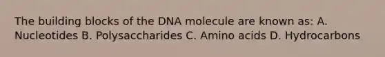 The building blocks of the DNA molecule are known as: A. Nucleotides B. Polysaccharides C. Amino acids D. Hydrocarbons