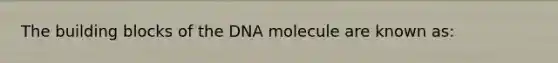 The building blocks of the DNA molecule are known as: