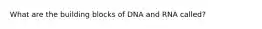 What are the building blocks of DNA and RNA called?