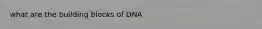 what are the building blocks of DNA