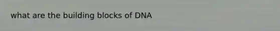 what are the building blocks of DNA