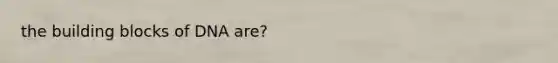 the building blocks of DNA are?