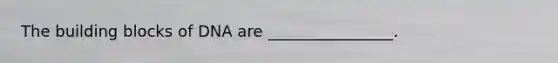 The building blocks of DNA are ________________.