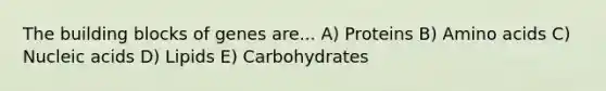 The building blocks of genes are... A) Proteins B) Amino acids C) Nucleic acids D) Lipids E) Carbohydrates