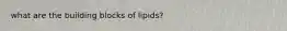 what are the building blocks of lipids?