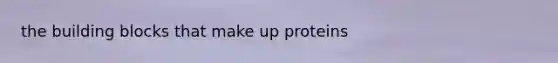 the building blocks that make up proteins
