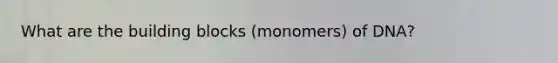 What are the building blocks (monomers) of DNA?