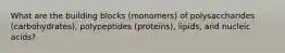 What are the building blocks (monomers) of polysaccharides (carbohydrates), polypeptides (proteins), lipids, and nucleic acids?