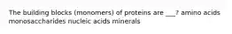 The building blocks (monomers) of proteins are ___? amino acids monosaccharides nucleic acids minerals