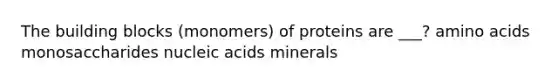 The building blocks (monomers) of proteins are ___? amino acids monosaccharides nucleic acids minerals