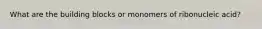 What are the building blocks or monomers of ribonucleic acid?