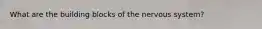 What are the building blocks of the nervous system?