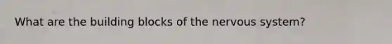 What are the building blocks of the nervous system?