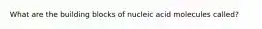 What are the building blocks of nucleic acid molecules called?