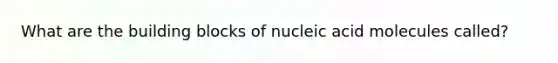 What are the building blocks of nucleic acid molecules called?