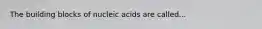 The building blocks of nucleic acids are called...