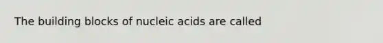 The building blocks of nucleic acids are called