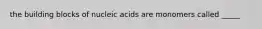 the building blocks of nucleic acids are monomers called _____