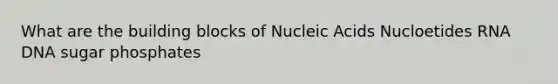 What are the building blocks of Nucleic Acids Nucloetides RNA DNA sugar phosphates