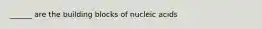 ______ are the building blocks of nucleic acids