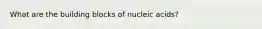 What are the building blocks of nucleic acids?