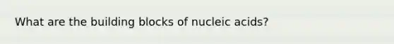 What are the building blocks of nucleic acids?