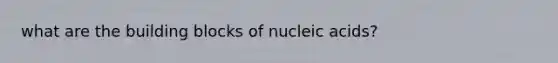 what are the building blocks of nucleic acids?