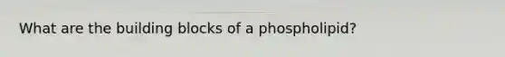 What are the building blocks of a phospholipid?