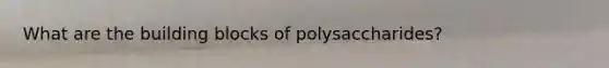 What are the building blocks of polysaccharides?