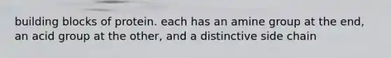 building blocks of protein. each has an amine group at the end, an acid group at the other, and a distinctive side chain