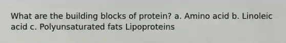 What are the building blocks of protein? a. Amino acid b. Linoleic acid c. Polyunsaturated fats Lipoproteins