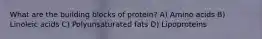 What are the building blocks of protein? A) Amino acids B) Linoleic acids C) Polyunsaturated fats D) Lipoproteins