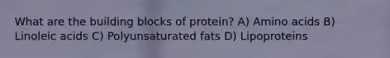 What are the building blocks of protein? A) Amino acids B) Linoleic acids C) Polyunsaturated fats D) Lipoproteins