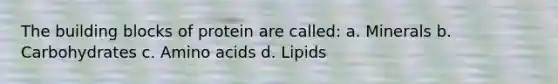 The building blocks of protein are called: a. Minerals b. Carbohydrates c. Amino acids d. Lipids