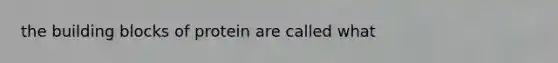 the building blocks of protein are called what