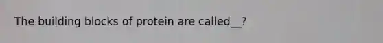 The building blocks of protein are called__?