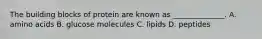 The building blocks of protein are known as ______________. A. amino acids B. glucose molecules C. lipids D. peptides
