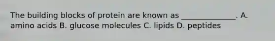 The building blocks of protein are known as ______________. A. amino acids B. glucose molecules C. lipids D. peptides