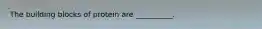 The building blocks of protein are __________.