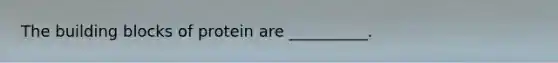 The building blocks of protein are __________.