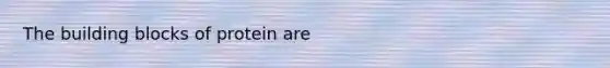 The building blocks of protein are