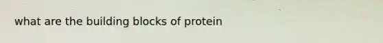 what are the building blocks of protein