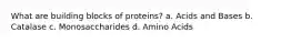 What are building blocks of proteins? a. Acids and Bases b. Catalase c. Monosaccharides d. Amino Acids