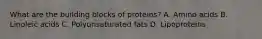 What are the building blocks of proteins? A. Amino acids B. Linoleic acids C. Polyunsaturated fats D. Lipoproteins