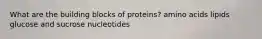 What are the building blocks of proteins? amino acids lipids glucose and sucrose nucleotides