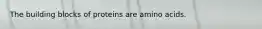 The building blocks of proteins are amino acids.