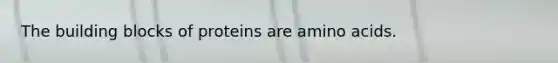 The building blocks of proteins are amino acids.