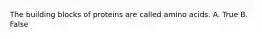 The building blocks of proteins are called amino acids. A. True B. False